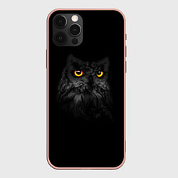 Чехол для iPhone 12 Pro Max Сова ночью, цвет: 3D-светло-розовый
