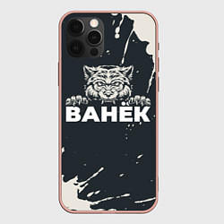 Чехол iPhone 12 Pro Max Ванёк зубастый волк