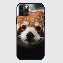 Чехол для iPhone 12 Pro Max Малая панда, цвет: 3D-черный