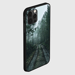 Чехол для iPhone 12 Pro Max Дорога в лес, цвет: 3D-черный — фото 2