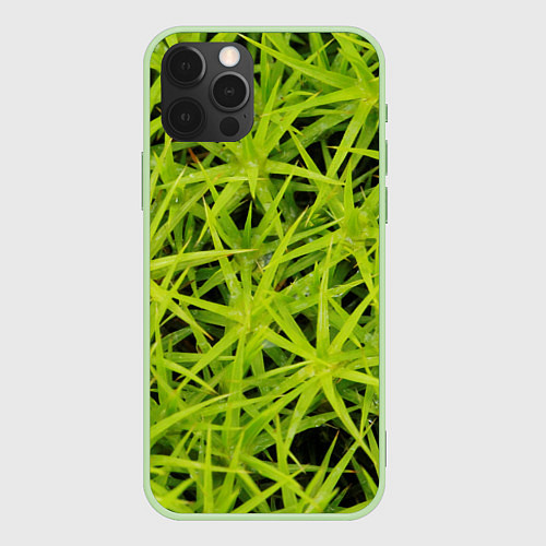 Чехол iPhone 12 Pro Max Сфагнум / 3D-Салатовый – фото 1