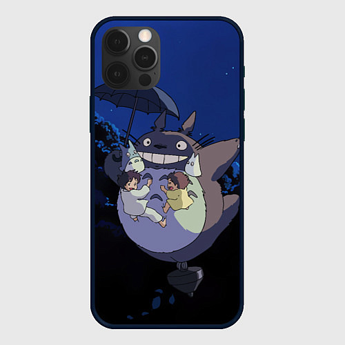 Чехол iPhone 12 Pro Max Night flight Totoro / 3D-Черный – фото 1