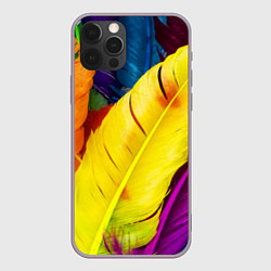 Чехол для iPhone 12 Pro Max Разноцветные перья птиц, цвет: 3D-серый