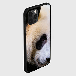 Чехол для iPhone 12 Pro Max Загадочная панда, цвет: 3D-черный — фото 2