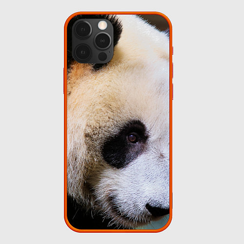 Чехол iPhone 12 Pro Max Загадочная панда / 3D-Красный – фото 1
