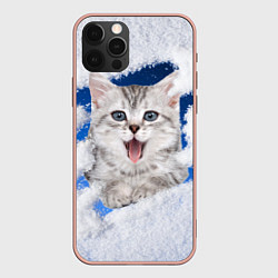 Чехол iPhone 12 Pro Max Котёнок в снегу