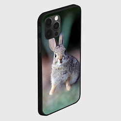 Чехол для iPhone 12 Pro Max Малыш кролик, цвет: 3D-черный — фото 2