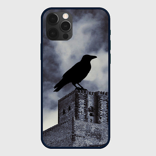 Чехол iPhone 12 Pro Max Halloween - силуэт ворона / 3D-Черный – фото 1