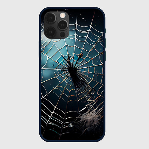 Чехол iPhone 12 Pro Max Halloween - паутина на фоне мрачного неба / 3D-Черный – фото 1