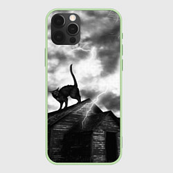 Чехол iPhone 12 Pro Max Halloween - чёрный кот на ведьмином доме