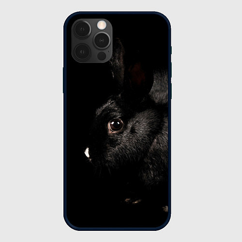 Чехол iPhone 12 Pro Max Чёрный большой кролик / 3D-Черный – фото 1