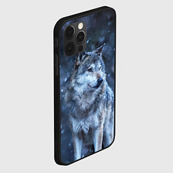 Чехол для iPhone 12 Pro Max Лесной волк, цвет: 3D-черный — фото 2