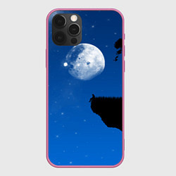 Чехол iPhone 12 Pro Max На краю пропасти под луной