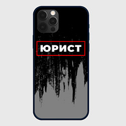 Чехол для iPhone 12 Pro Max Юрист - в красной рамке на темном, цвет: 3D-черный