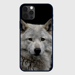 Чехол для iPhone 12 Pro Max Серый волк на темном фоне, цвет: 3D-черный