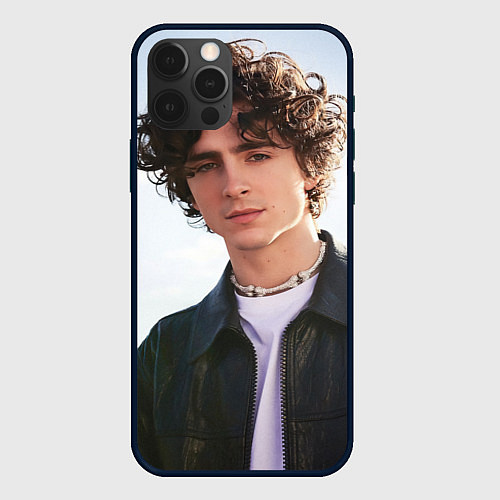Чехол iPhone 12 Pro Max Timothe for Variety / 3D-Черный – фото 1