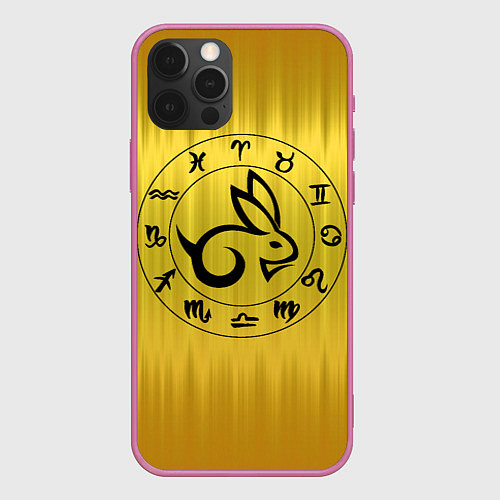 Чехол iPhone 12 Pro Max Черный кролик и знаки зодиака / 3D-Малиновый – фото 1