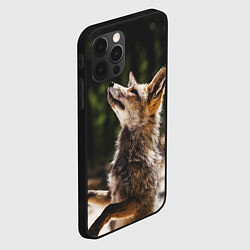 Чехол для iPhone 12 Pro Max Лис на задних лапках, цвет: 3D-черный — фото 2