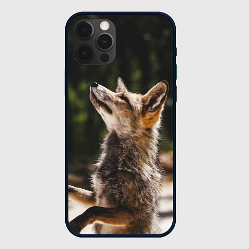 Чехол iPhone 12 Pro Max Лис на задних лапках / 3D-Черный – фото 1