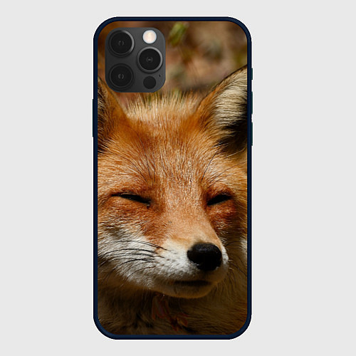 Чехол iPhone 12 Pro Max Лис дремлет / 3D-Черный – фото 1