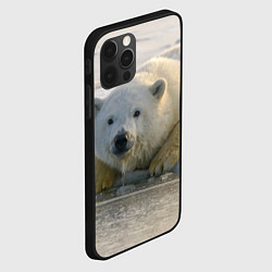 Чехол для iPhone 12 Pro Max Белый медведь ожидает, цвет: 3D-черный — фото 2