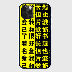 Чехол iPhone 12 Pro Max Иероглифы Япония