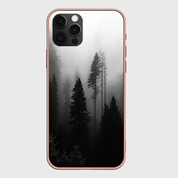 Чехол iPhone 12 Pro Max Красивый лес и туман