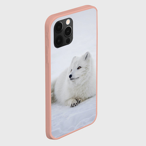 Чехол iPhone 12 Pro Max Полярная лисичка / 3D-Светло-розовый – фото 2