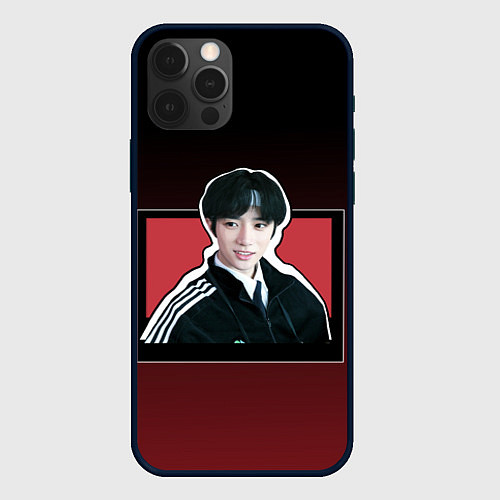 Чехол iPhone 12 Pro Max Бомгю и тень / 3D-Черный – фото 1