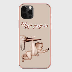 Чехол iPhone 12 Pro Max Винтаж аист и малыш - чудо рядом