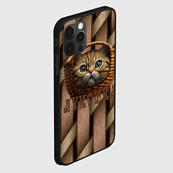 Чехол для iPhone 12 Pro Max Кошка лукошка мем, цвет: 3D-черный — фото 2