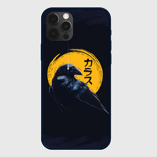 Чехол iPhone 12 Pro Max Raven and moon / 3D-Черный – фото 1