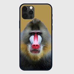 Чехол iPhone 12 Pro Max Мандрил обезьяна
