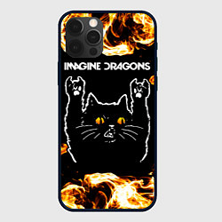 Чехол для iPhone 12 Pro Max Imagine Dragons рок кот и огонь, цвет: 3D-черный