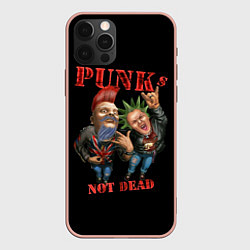 Чехол iPhone 12 Pro Max Punks Not Dead - панки хой