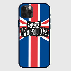 Чехол iPhone 12 Pro Max Sex Pistols - панк рок