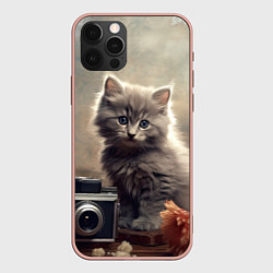 Чехол iPhone 12 Pro Max Серый котенок, винтажное фото