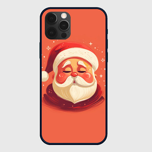 Чехол iPhone 12 Pro Max Портрет Деда Мороза / 3D-Черный – фото 1