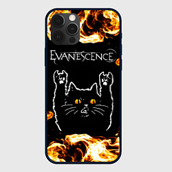 Чехол iPhone 12 Pro Max Evanescence рок кот и огонь
