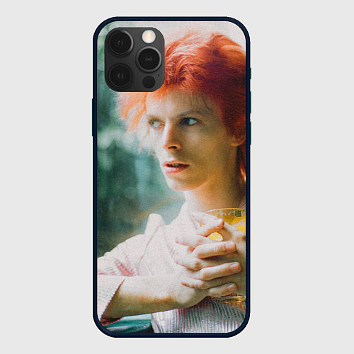 Чехол iPhone 12 Pro Max David Bowie in Haddon Hall / 3D-Черный – фото 1