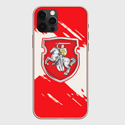 Чехол iPhone 12 Pro Max Belarus герб краски