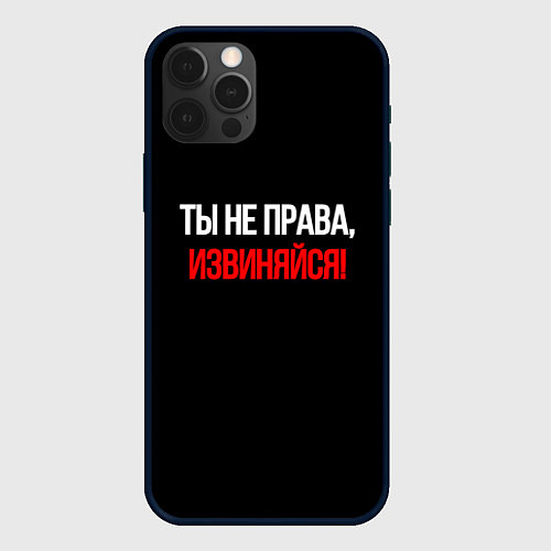 Чехол iPhone 12 Pro Max Токсичные отношения / 3D-Черный – фото 1