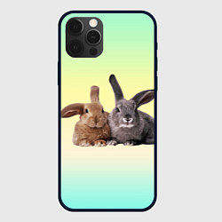 Чехол iPhone 12 Pro Max Два пушистых кролика