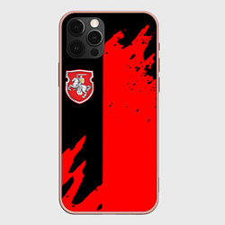 Чехол для iPhone 12 Pro Max Белоруссия краски текстура, цвет: 3D-светло-розовый