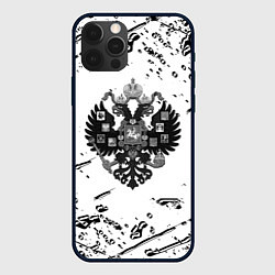 Чехол iPhone 12 Pro Max Герб России краски текстура