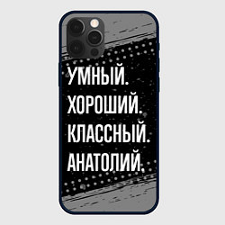 Чехол iPhone 12 Pro Max Умный хороший классный: Анатолий