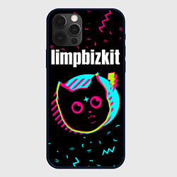 Чехол iPhone 12 Pro Max Limp Bizkit - rock star cat