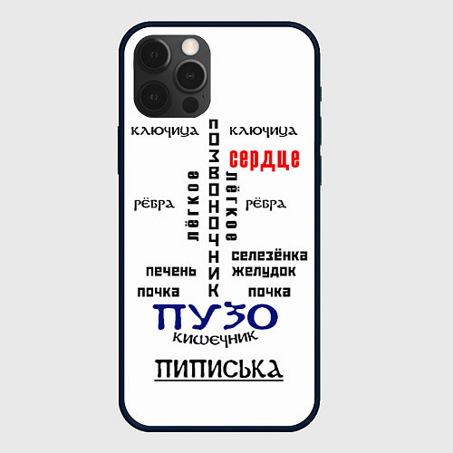 Чехол iPhone 12 Pro Max Прикольная анатомия мужчины / 3D-Черный – фото 1