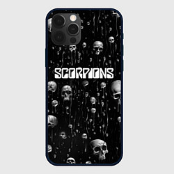 Чехол iPhone 12 Pro Max Scorpions rock group