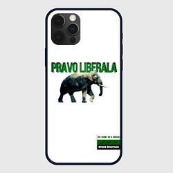 Чехол iPhone 12 Pro Max Право либерала